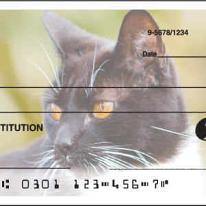 Alley Cat Allies Animal Personal Checks - 1 Box - Singles