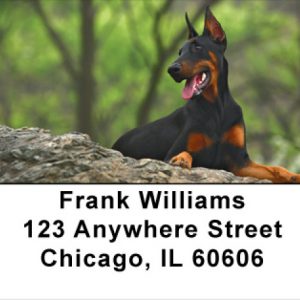Alert and Watching Address Labels