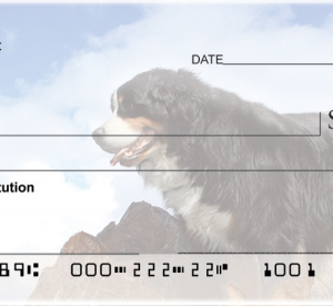 Bernese Mountain Dogs Personal Checks