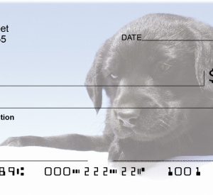 Black Lab Puppies Personal Checks