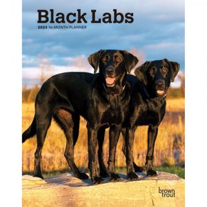 Black Labrador Retrievers 2023 Weekly Planner